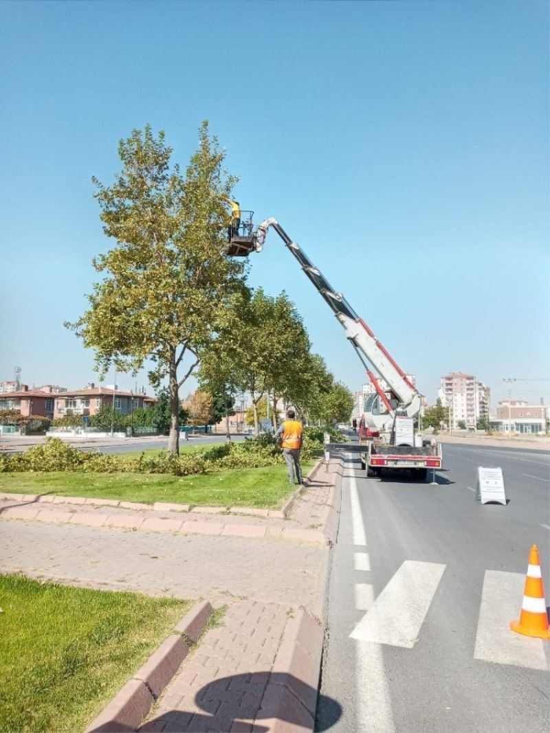 Büyükşehir’den hummalı sonbahar çalışması
