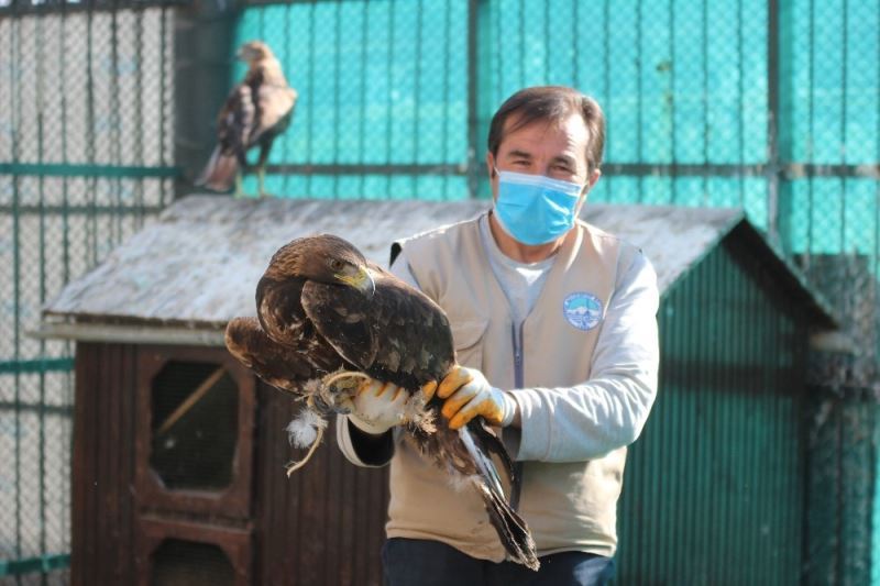 Hayvanat bahçesinde kış hazırlıkları başladı
