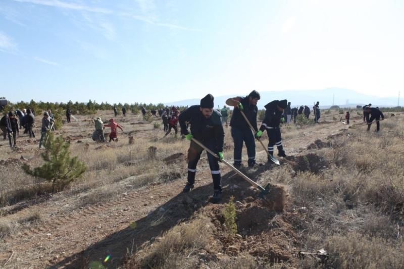 Büyükşehir Ulaşım A.Ş.’den Hatay’a 700 fidan
