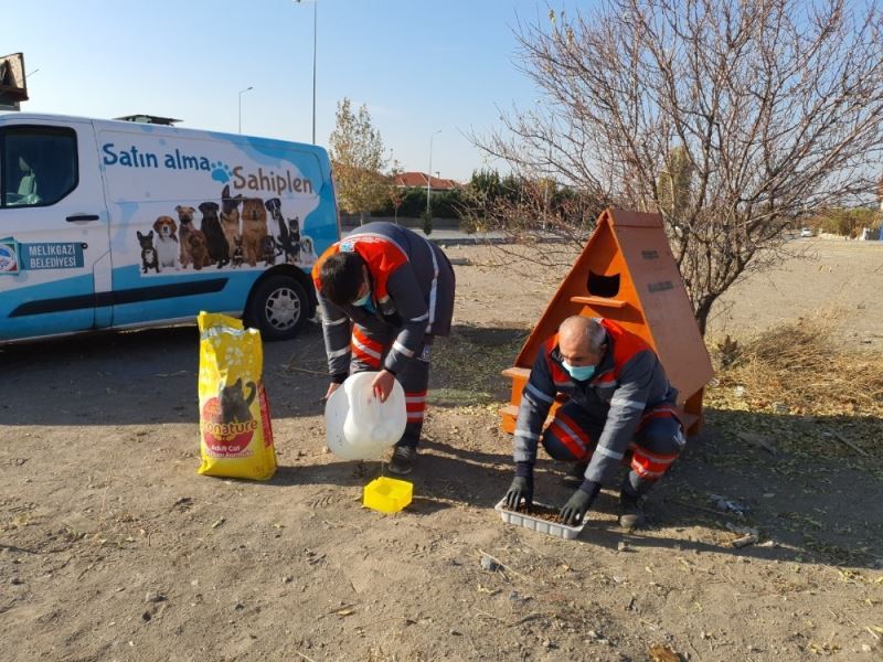 Sokağa çıkma kısıtlamasında Melikgazi’de sokak hayvanları unutulmadı
