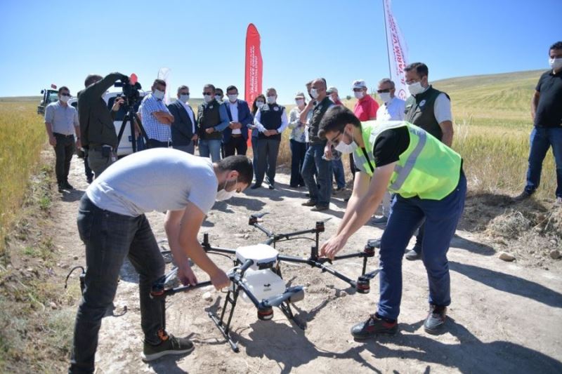 Kayseri’de süne ile mücadele de ilk defa ’Drone’ kullanıldı