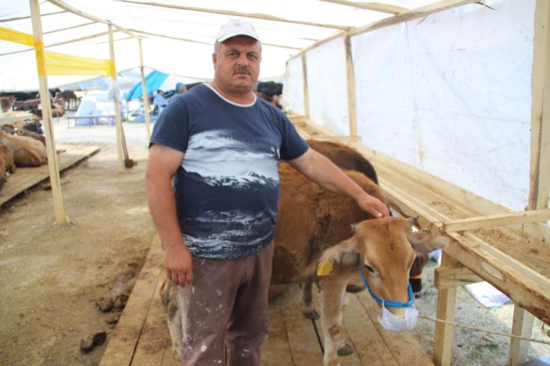 Maskeli dana hem güldürdü hem mesaj verdi