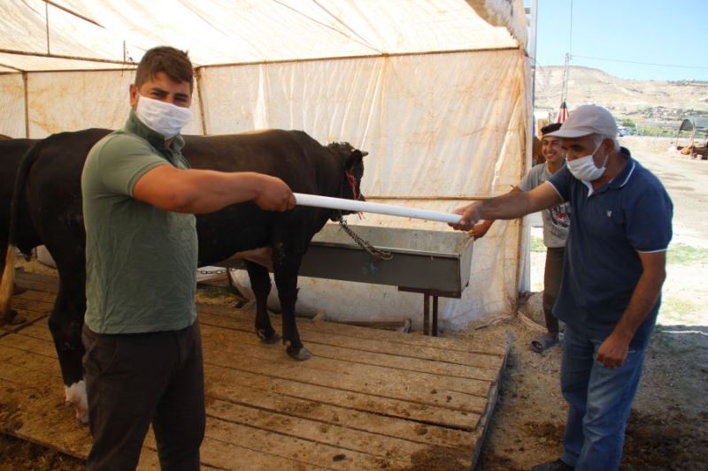 Kurban pazarlarının yeni trendi: Pazarlık borusu