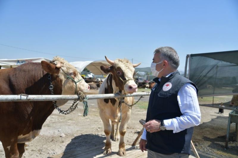  Mustafa Şahin: - “Kurban vasfını taşımayan hayvanların üzerlerini işaretledik, vatandaşlarımız dikkatli olsunlar”