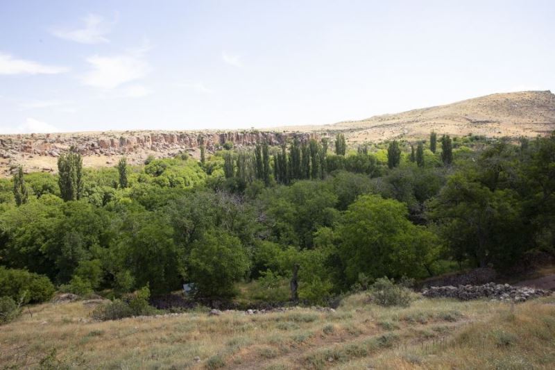 Kayseri