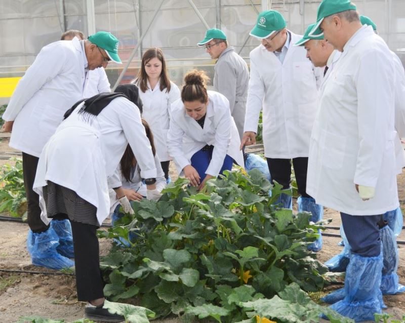  Kayseri Şeker Ar-Ge Merkezi’nin ortak olduğu uluslararası projeye Avrupa Komisyonu’ndan tam destek 