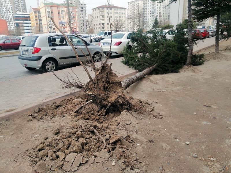 Kayseri’de kuvvetli rüzgar ağaçları söktü, çatıları uçurdu
