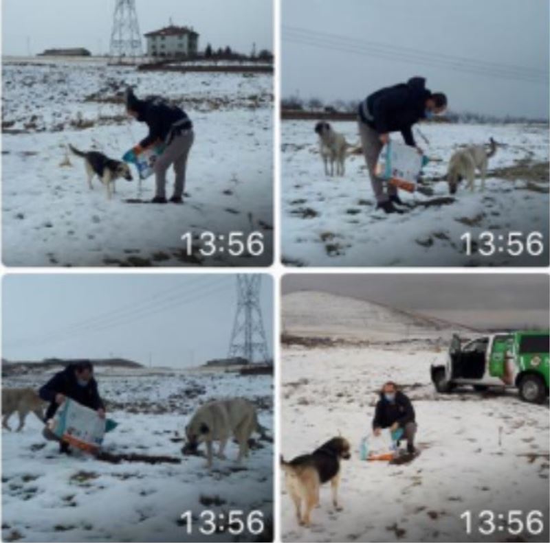 Kayseri polisinden  hayvanlara yem desteği
