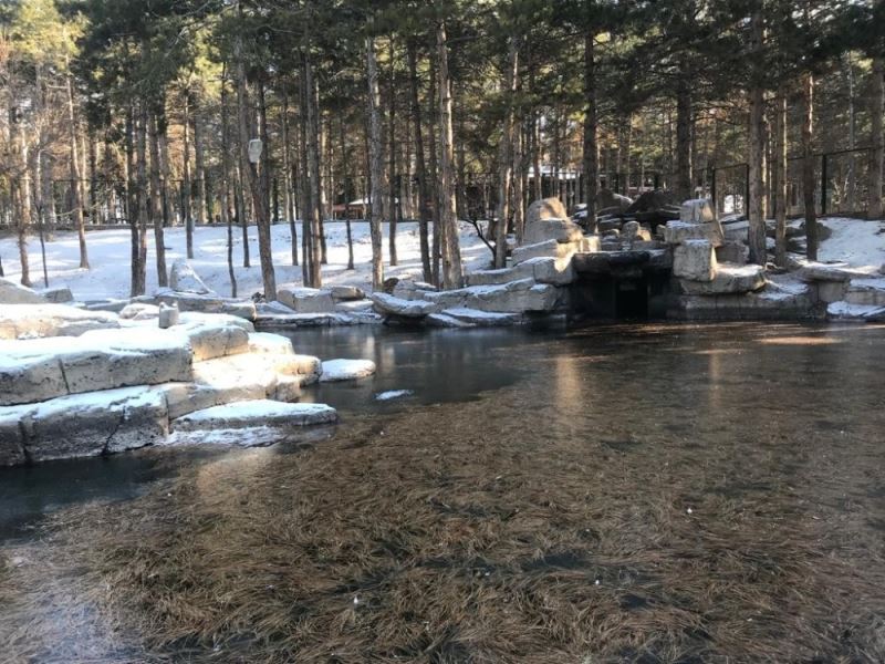 Kayseri’de suni göl buz tuttu
