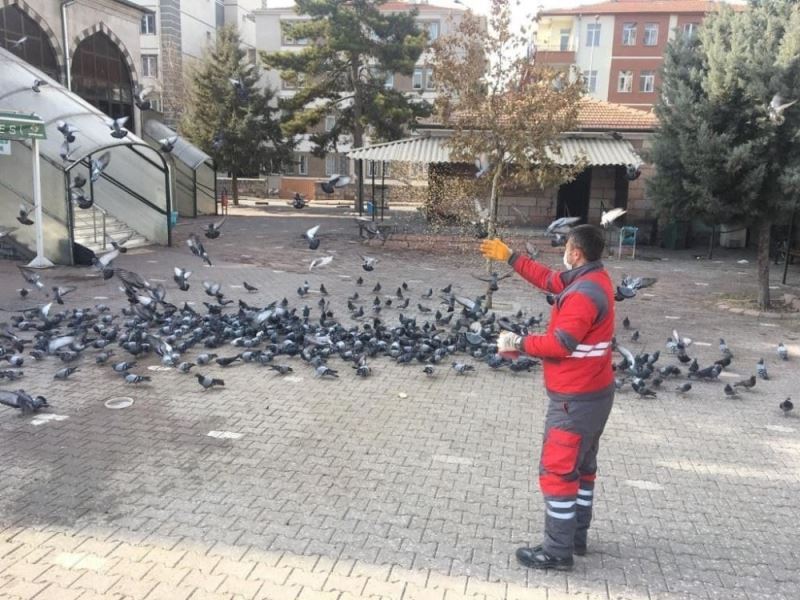 Kısıtlamada sokak hayvanları unutulmadı
