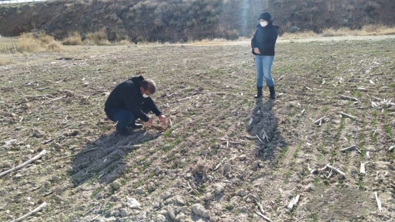 Yerli ve milli tohumların ulaşmadığı çiftçi kalmayacak
