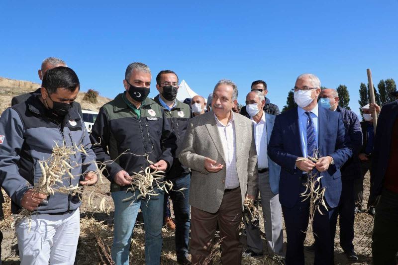 Tohum Belediyeden, hasat çiftçiden
