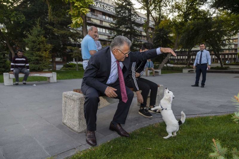 Büyükşehir sokak hayvanlarının yanında
