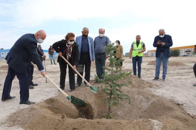 Daha yeşil Kocasinan için yeşil alanlara sonbahar bakımı
