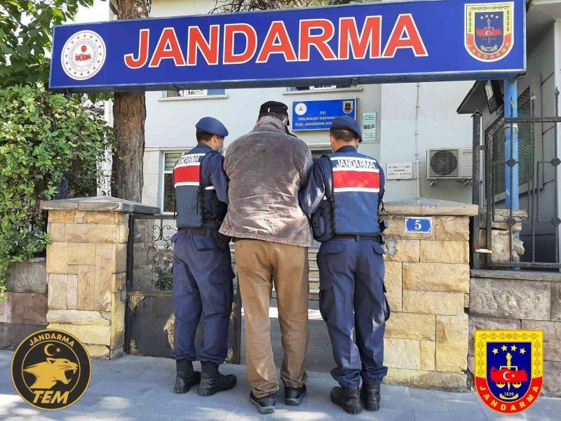 Bombacı terörist jandarma operasyonuyla yakalandı
