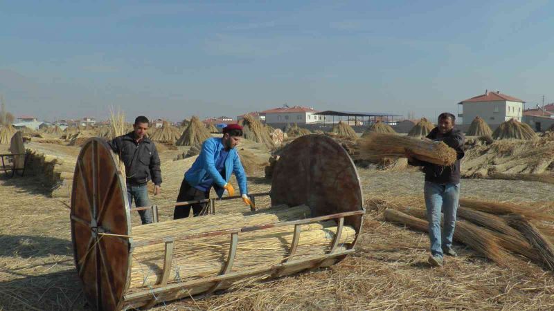 İşçilerin zorlu ’kamış’ mesaisi
