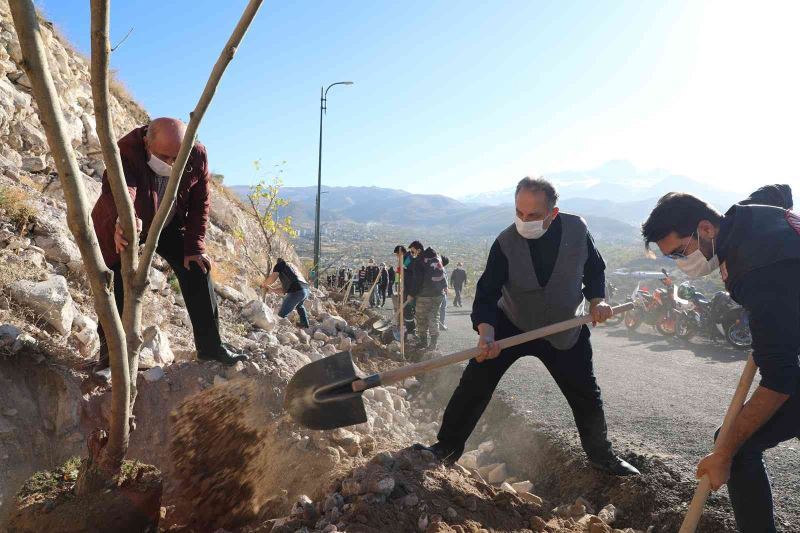 Ali Dağı’nda 20 bin ağaç daha toprakla buluştu
