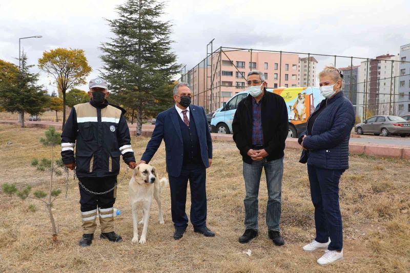 ‘Bulut’ yeniden doğal ortamında
