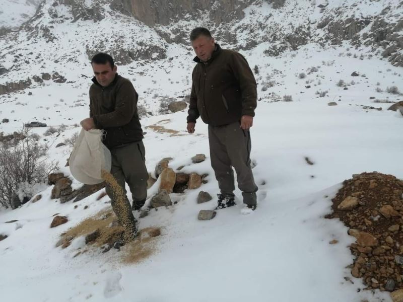 Kayseri’de yaban hayatına destek
