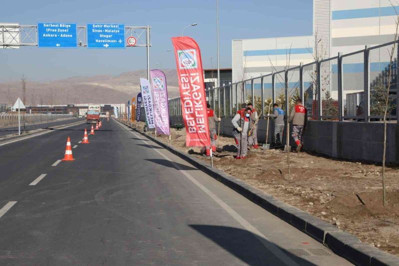 Yenilenen OSB yolunda ağaçlandırma çalışması yapıldı
