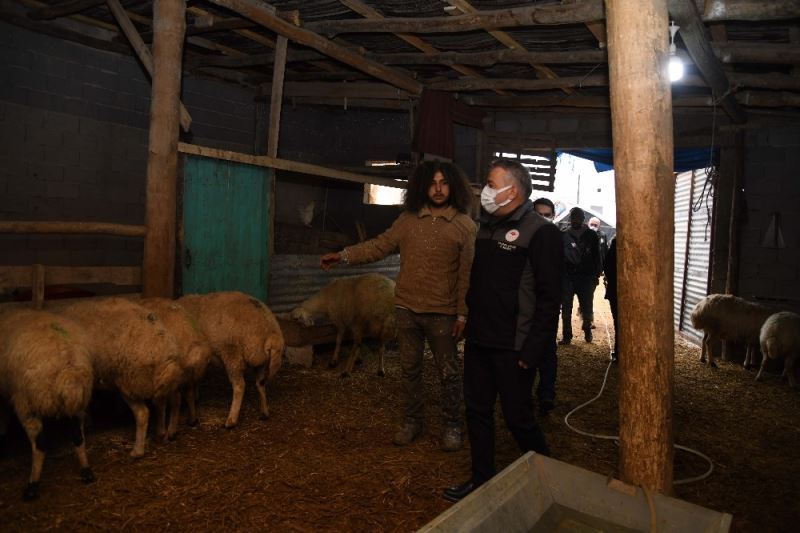 Mandıra filozofu besicilikte de başarılı oldu
