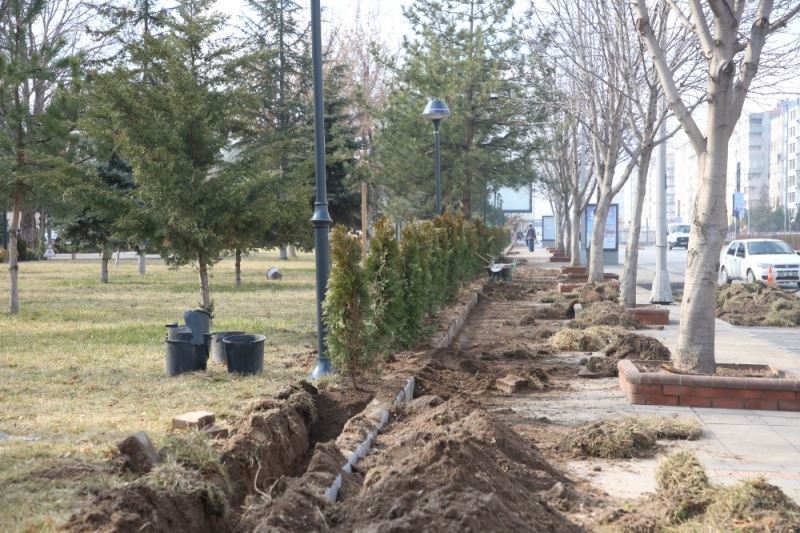 Melikgazi’nin parklarına ağaç ve süs bitkisi dikimi başladı
