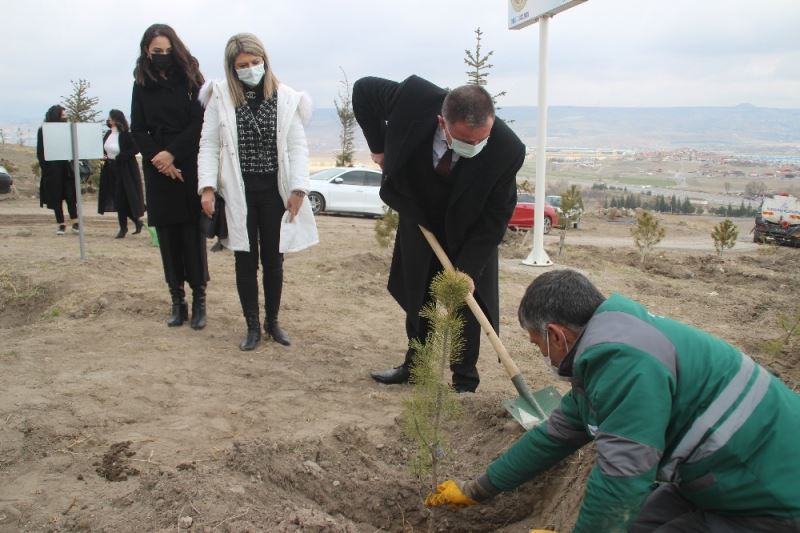 Kayseri Barosu Kadınlar Günü’nde ağaç dikti
