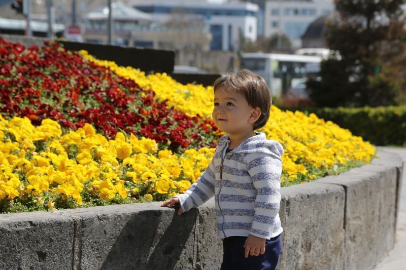 Büyükşehir, şehri çiçek bahçesine çevirdi
