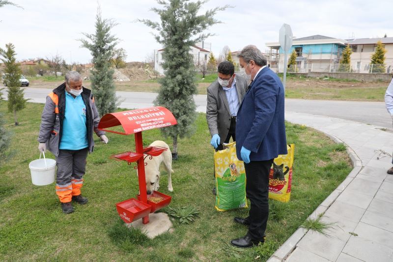 Tam kapanmada Melikgazi’de sokak hayvanları unutulmadı
