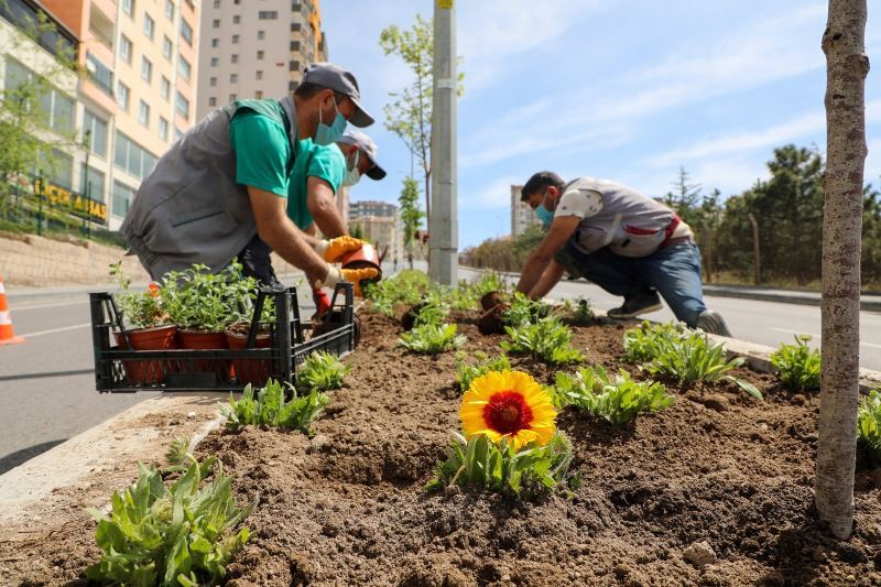 Dört bin yana 100 bin çiçek; Talas çiçek açıyor
