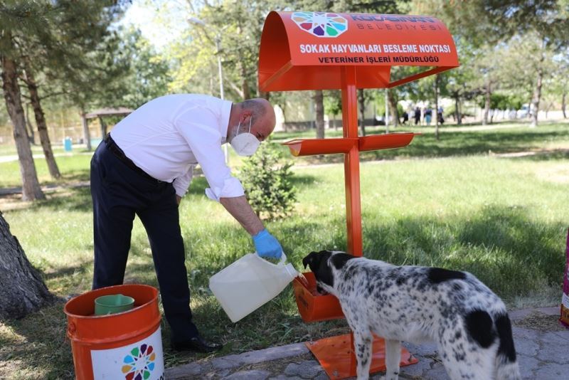 Kocasinan’da hayat tüm canlılar için değerli
