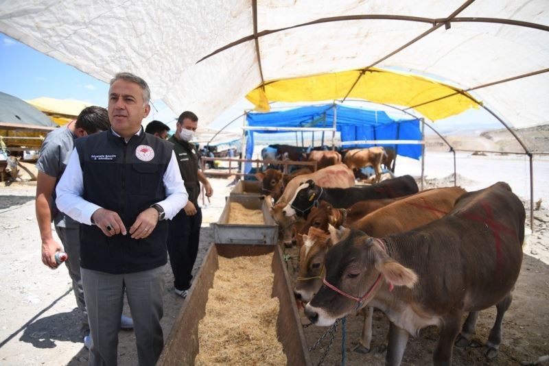 Kurban pazarlarında denetimler başladı
