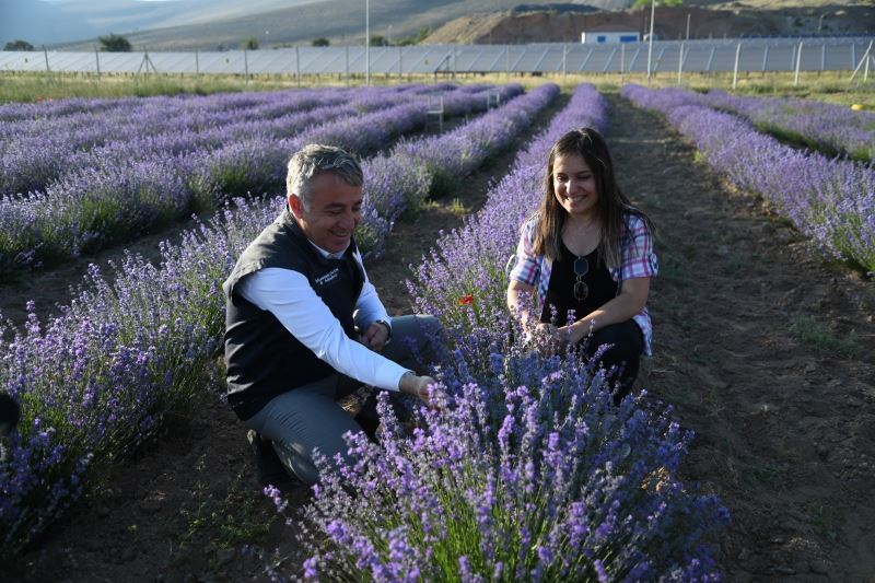 Kadın çiftçi kurduğu lavanta bahçesinde kendi markasını oluşturmayı hedefliyor
