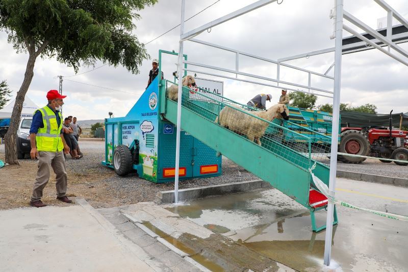 Talas Belediyesi kurbanlık koyunları yıkayıp dezenfekte etti
