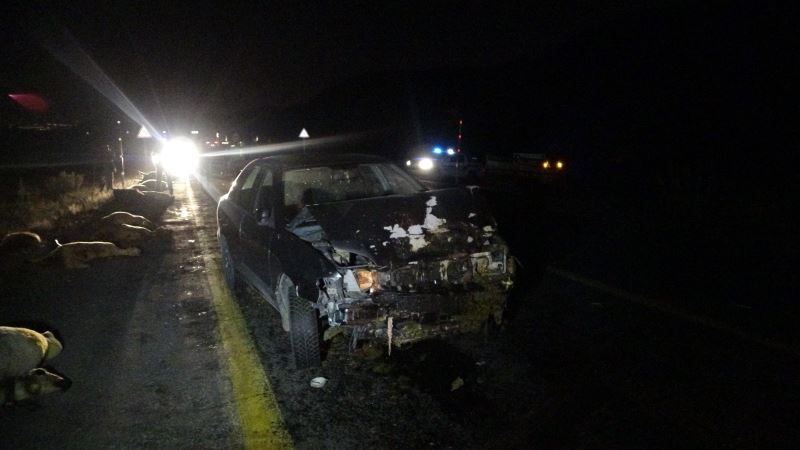 Kayseri’de sürüye dalan otomobilin sürücüsü yaralandı, 13 koyun telef oldu
