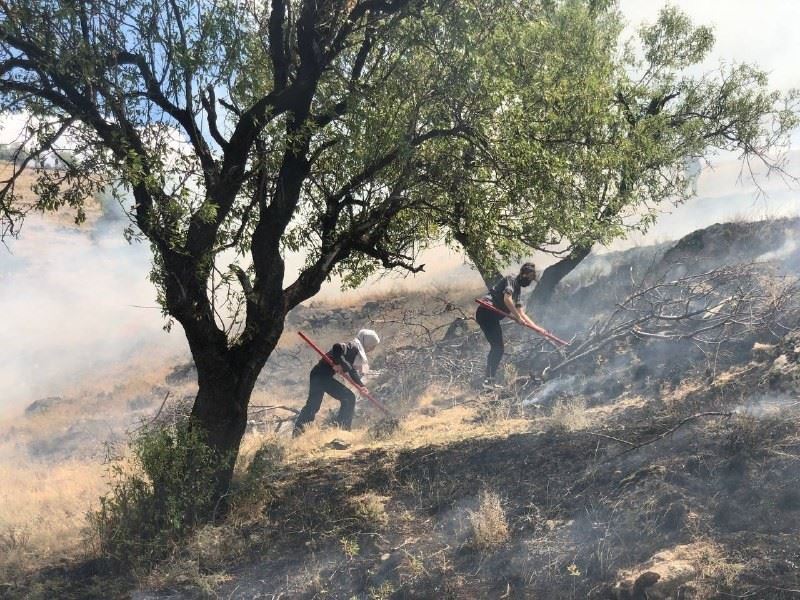 (ÖZEL) Anız yangınına kadın itfaiyeci müdahalesi
