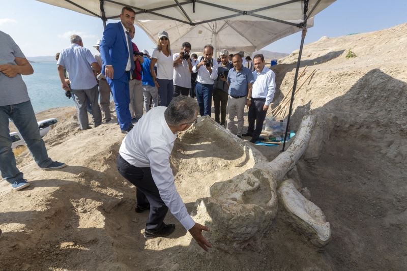 7.5 milyon yıllık fosillerin sergileneceği müzenin temeli atılacak
