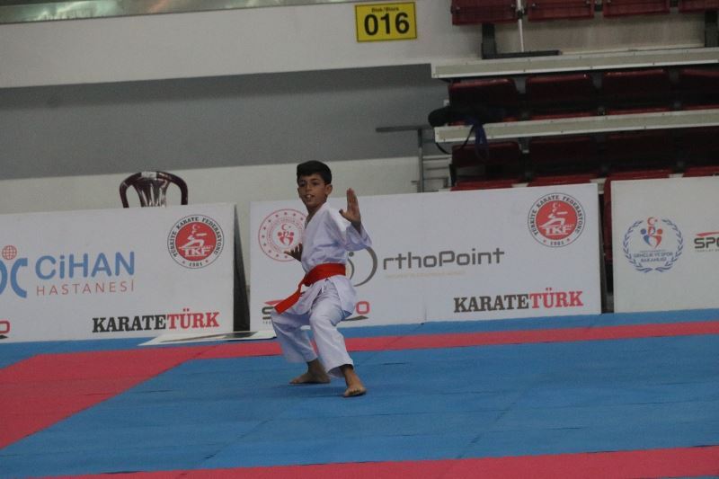 Karate şöleni başladı
