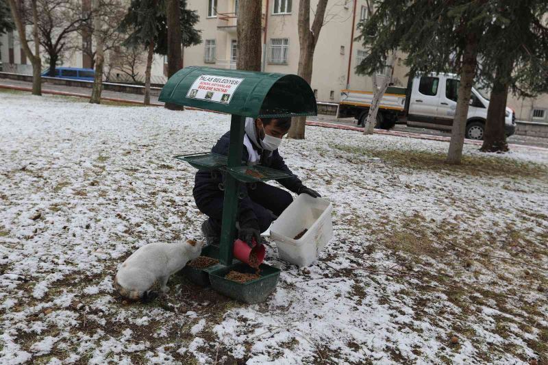 Talas’tan can dostlara şefkat eli
