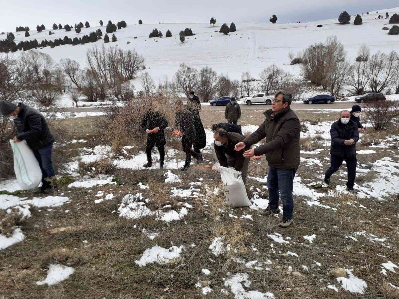 Doğadaki hayvanlara yem bırakıldı
