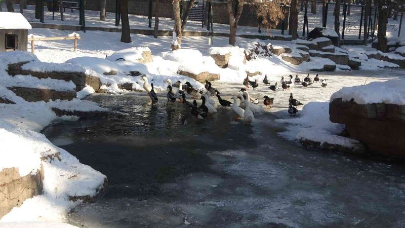 Kayseri buz tuttu
