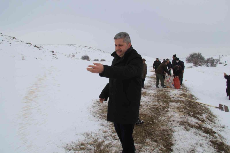 Başkan Altun yaban hayvanlarına yem verdi, yolda kalan ailenin aracını itti
