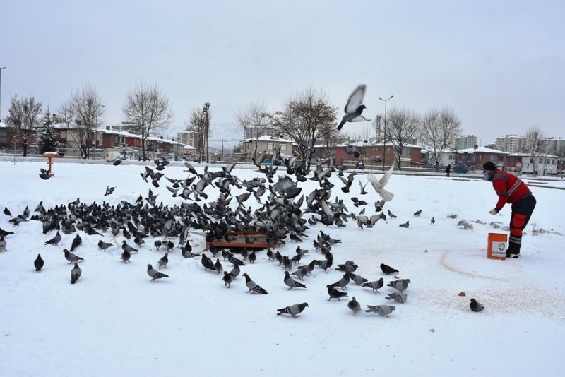 Hayvanseverlerden Başkan Çolakbayrakdar’a teşekkür
