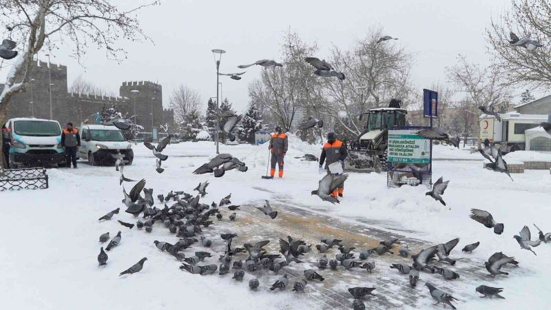 Melikgazi soğuk kış günlerinde sokak hayvanlarını unutmadı
