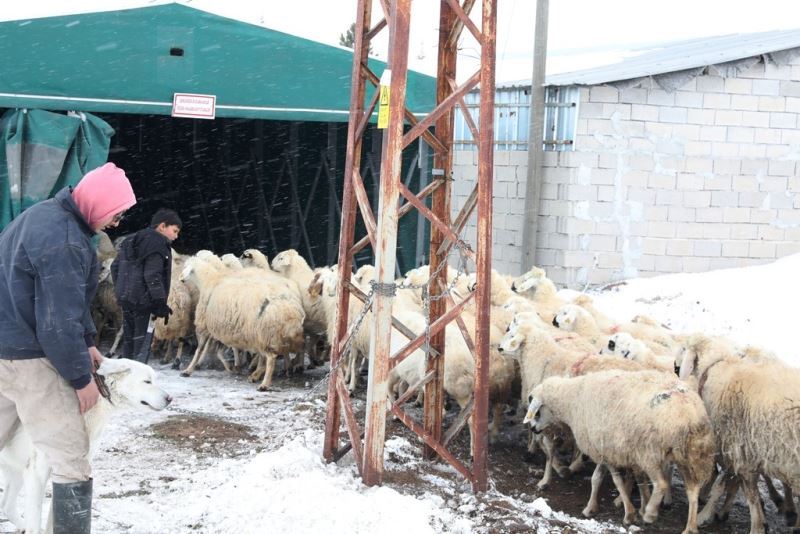 Çiftçinin imdadına Kocasinan Belediyesi yetişti
