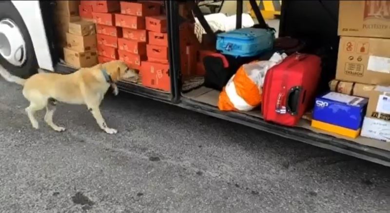 Yolcu otobüsünde 12 kilo uyuşturucu ele geçirildi
