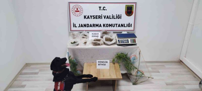 Evinin bahçesinde uyuşturucu üreten şahıs yakalandı
