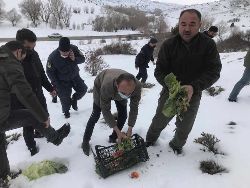 Yemleme çalışmaları devam ediyor
