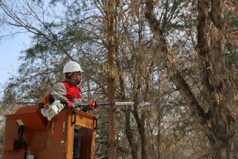 Melikgazi’de ağaçlar daha uzun ömürlü olması için budanıyor
