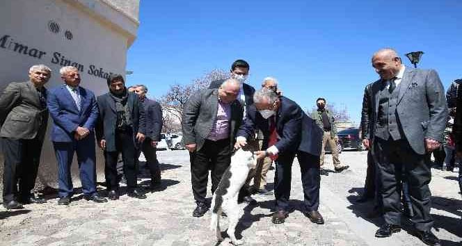 Mimar Sinan doğduğu topraklarda anıldı